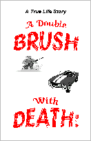 dblbrush.gif (3233 bytes)